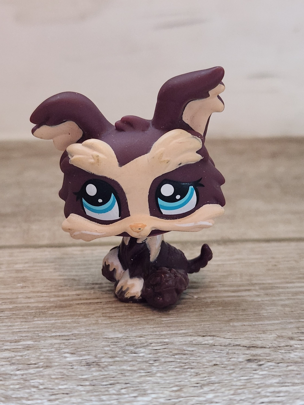 Littlest Pet Shop Brown and Cream with Bright Blue Eyes